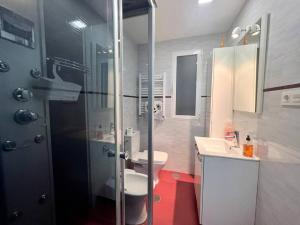 y baño con ducha, aseo y lavamanos. en Hermoso piso en Chamberi, en Madrid