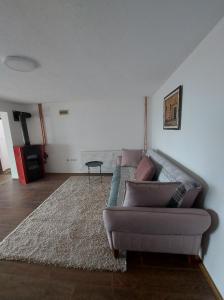 a living room with a couch and a rug at Apartmani Milosevic in Kopaonik