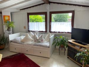 ein Wohnzimmer mit einem Sofa mit Kissen und einem TV in der Unterkunft Ferienhaus Sternschnuppe in Limbach