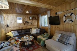 sala de estar con sofá y TV en Sosnowy Zakątek - domek wakacyjny nad jeziorem w lesie en Tuczno
