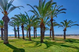 een rij palmbomen op het strand bij Studio La Carihuela in Torremolinos