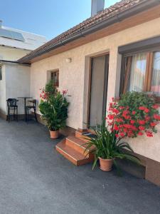 uma casa com vasos de plantas e uma mesa e cadeiras em Apartman Anna em Ogulin