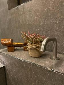 a sink with a potted plant sitting next to a faucet at Bow Hanok House in Gangneung