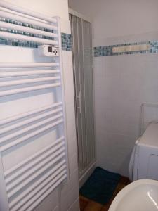 uma casa de banho com um chuveiro e um WC. em Appartement chalet en plein centre des Saisies em Hauteluce