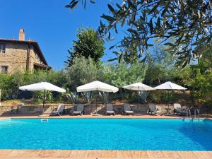 a swimming pool with chairs and umbrellas at Agriturismo Poggio all'Olmo in Greve in Chianti
