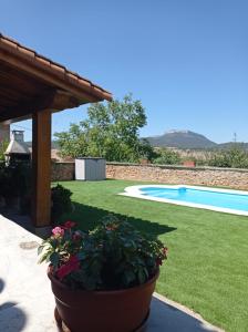 un jardin avec une piscine et une plante en pot dans l'établissement El Encinedo, à Genevilla