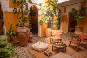a living room filled with lots of potted plants at Riad Le Petit Bacha in Marrakesh +15 photos