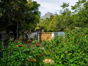 un jardín con flores y una montaña en el fondo en Kriluki Accommodation en Stellenbosch