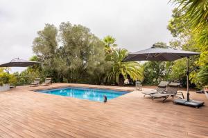 ein Pool mit zwei Sonnenschirmen und einem Hund darin in der Unterkunft Casa de lujo junto al Club Golf in Tacoronte