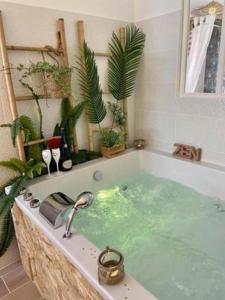 a bath tub filled with green water in a bathroom at LOVER'S ROOM TROPIC in Verton