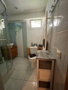 a bathroom with a toilet and a sink and a shower at Studio très calme en plein centre ville entrée indépendante in Lunel