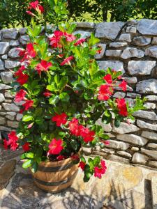 Billede fra billedgalleriet på Ferienhaus Zangl am Seggauberg - Südsteiermark i Leibnitz + 24 billeder