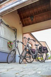 Berbasikal di atau sekitar B&B Fruithof Tack