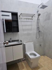 a bathroom with a toilet and a sink and a shower at Blue Haven Retreat in Thulusdhoo +12 photos
