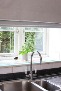 a kitchen sink with a window with a potted plant at Cromhall Farm in Chippenham