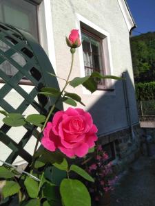 Giardino di Zu Hause am Bach