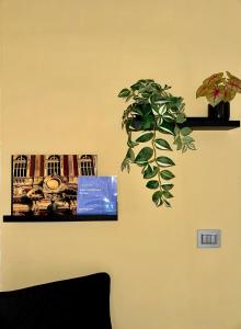 a plant sitting on a wall next to a shelf at Casa moderna a Torino in Turin