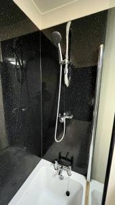 a bathroom with a shower with a sink and a shower at Elegant 2 Bedroom Chalet in Edinburgh