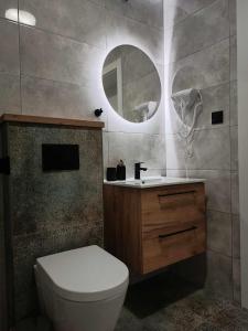 a bathroom with a toilet and a sink and a mirror at Apartamenty Centrum in Janów Lubelski