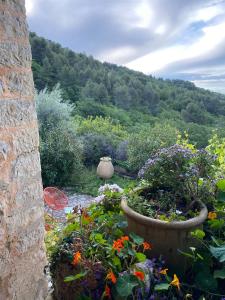 un jardín con flores y una montaña en el fondo en Tiny House au coeur des Combes en Seillans