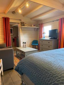 um quarto com uma cama, uma secretária e uma televisão em Tiny House au coeur des Combes em Seillans