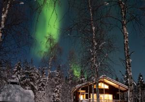 uma aurora sobre uma cabana na floresta à noite em Napapiirin Järvilomat em Rovaniemi