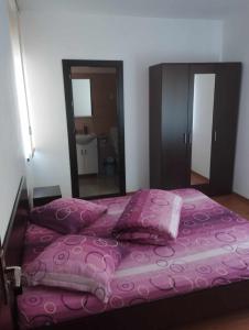 - une chambre avec un lit rose et un grand miroir dans l'établissement CASA DAVID, à Voineşiţa