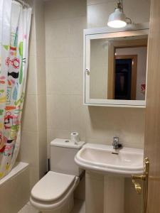 uma casa de banho com um WC, um lavatório e um espelho. em Bonito apartamento en Ezcaray em Azarrulla
