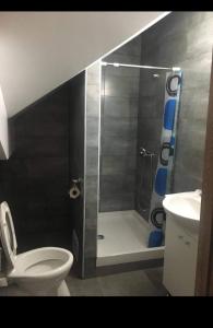 La salle de bains est pourvue d'une douche, de toilettes et d'un lavabo. dans l'établissement CASA DAVID, à Voineşiţa