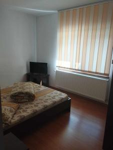 - une chambre avec un lit, un bureau et une fenêtre dans l'établissement CASA DAVID, à Voineşiţa