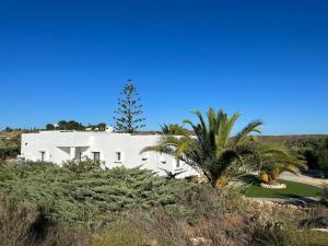 a white building with a palm tree in front of it at Los Palmitos in Agua Amarga