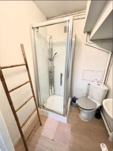 a bathroom with a shower and a toilet at Lava Studio in Poitiers