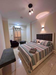 1 dormitorio con 1 cama grande y sala de estar en Comfy apartment Downtown Aswan, en Asuán