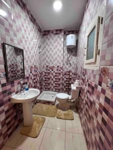 y baño con lavabo y aseo. en Comfy apartment Downtown Aswan, en Asuán