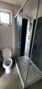 ein Bad mit einem WC und einer Glasdusche in der Unterkunft Cer de munte in Nucşoara