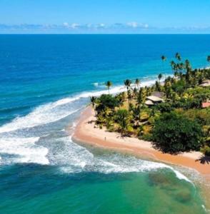 una vista aérea de una playa con palmeras y el océano en Pousada Tortuga, en Barra Grande