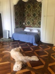 Fotografie z fotogalerie ubytování CHATEAU MONTALEMBERT Maîche v destinaci Maîche