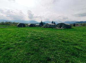 a group of tents in a field of grass at Camp66 in Karpacz