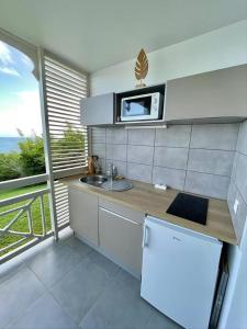 Cuisine ou kitchenette dans l'établissement Charmant appartement avec piscine et vue sur mer