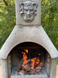 een stenen oven met een gezicht erop bij FeWo Düver in Loxstedt