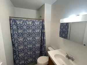 a bathroom with a shower curtain and a sink at Cozy Boston Apartment in Medford