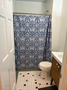 a bathroom with a toilet and a blue shower curtain at Lord Medford Apartments in Medford