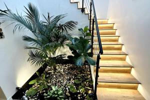 a stairway with plants in a planter at Loft entre Paris et Disney in Le Perreux-Sur-Marne