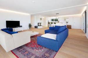 ein Wohnzimmer mit 2 blauen Sofas und einem TV in der Unterkunft Seesehnsucht Höri in Gaienhofen