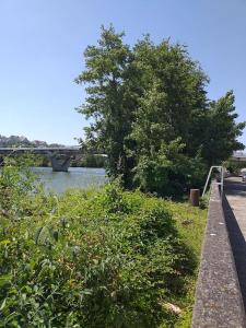 Příroda nedaleko apartmánu