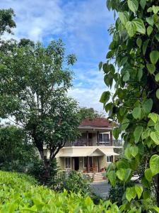 O grădină în afara Marina Homestay