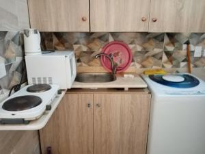 uma pequena cozinha com um lavatório e um micro-ondas em استوديو عائلات فقط الساحل الشمالي ريتال فيو em Al Ḩammām