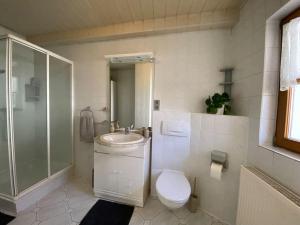 a bathroom with a toilet and a sink and a shower at Wohnung in Kleinfischlingen in Kleinfischlingen