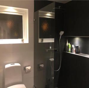 a bathroom with a shower with a toilet and a window at Luxurious house 20 minutes from Malmö Arena 