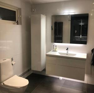 a bathroom with a toilet and a sink and a mirror at Luxurious house 20 minutes from Malmö Arena 